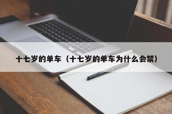 十七岁的单车（十七岁的单车为什么会禁）