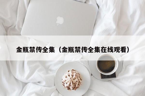 金瓶禁传全集（金瓶禁传全集在线观看）