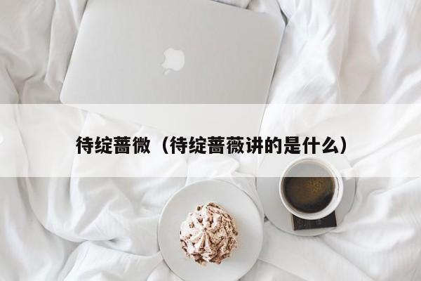 待绽蔷微（待绽蔷薇讲的是什么）