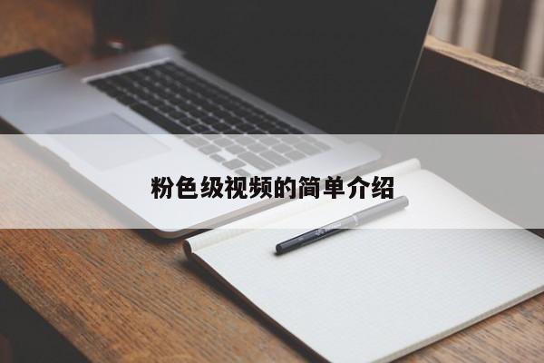 粉色级视频的简单介绍