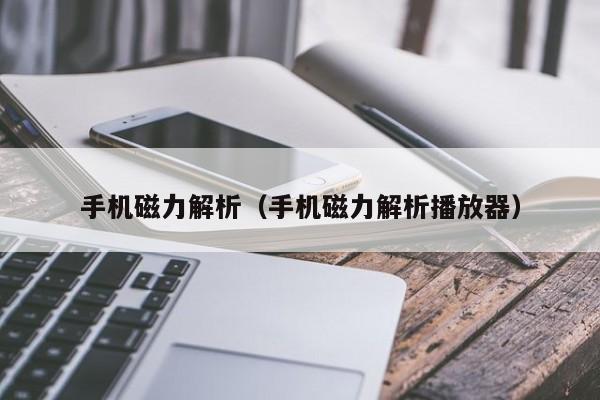 手机磁力解析（手机磁力解析播放器）